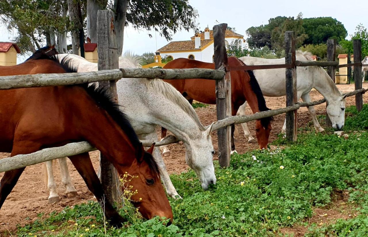 Posada Rural La Corbera Utrera Eksteriør billede