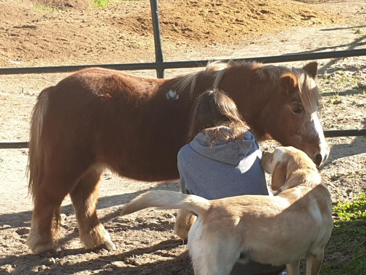 Posada Rural La Corbera Utrera Eksteriør billede