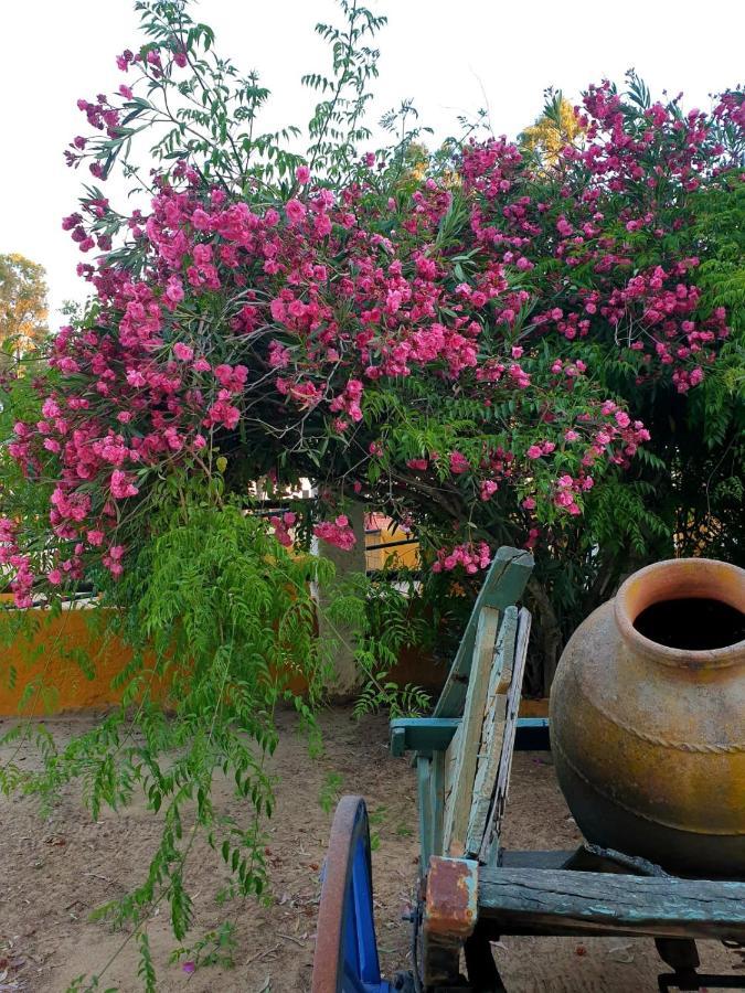 Posada Rural La Corbera Utrera Eksteriør billede