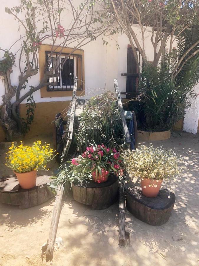 Posada Rural La Corbera Utrera Eksteriør billede
